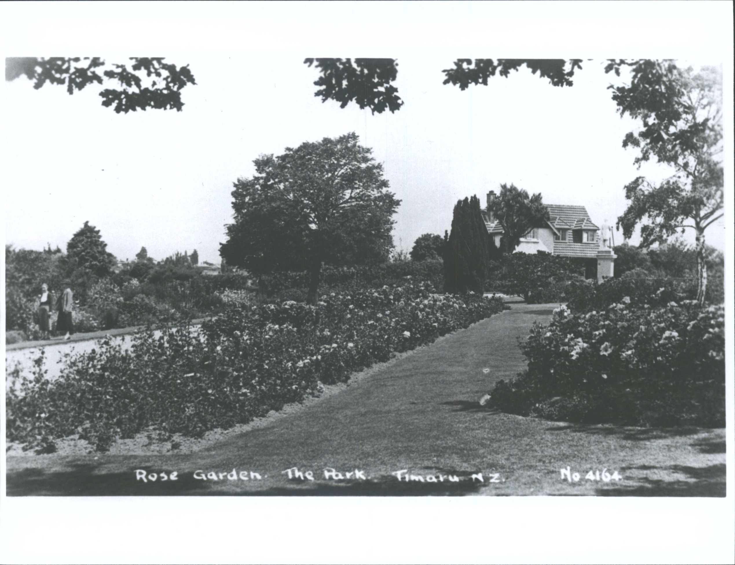 Rose Garden The Park Timaru Hocken Digital Collections 24154