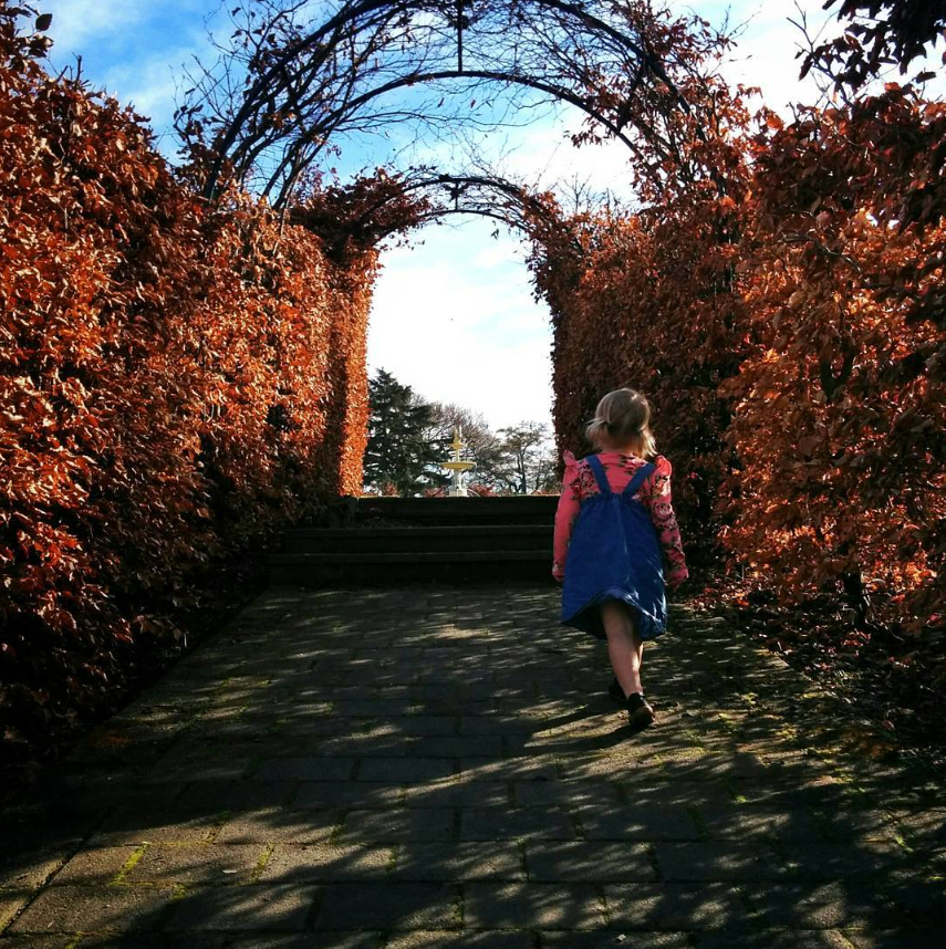 Golden Autumn Arch at Timaru Botanic Gardens