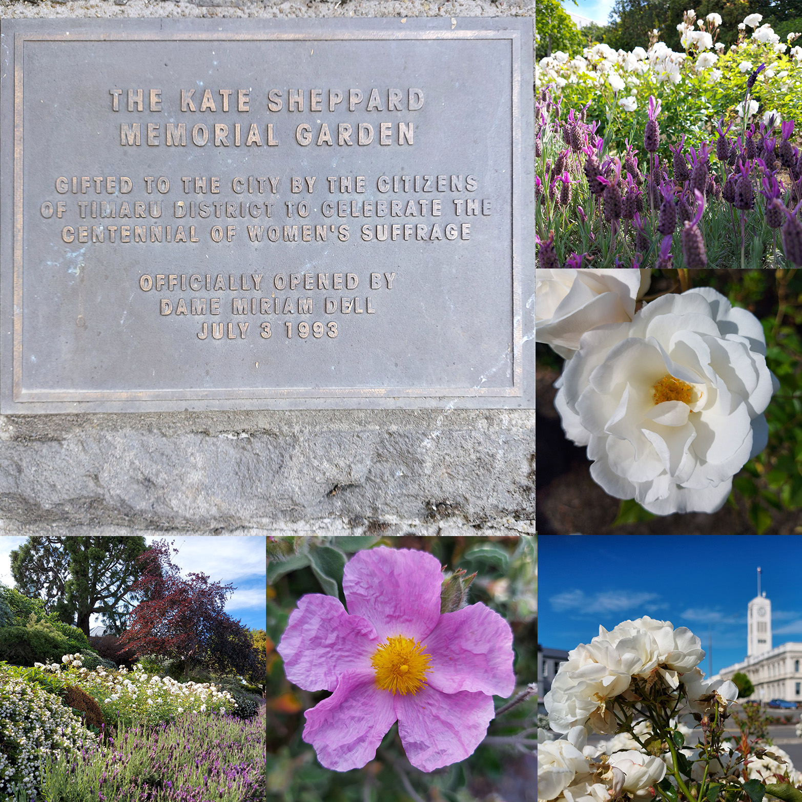 Kate Sheppard Memorial Garden