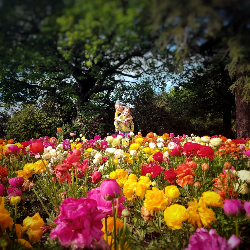 Playing at the timaru botanic gardens