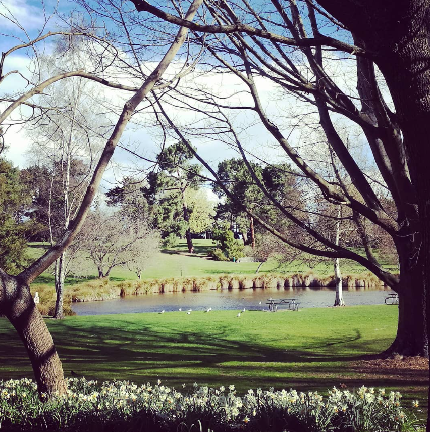 Timaru Botanic Gardens Duck Pond