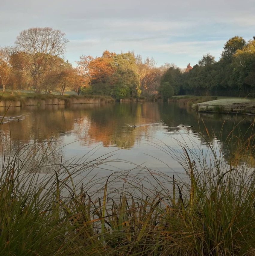 Timaru Botanic Gardens Duck Pond Autumn