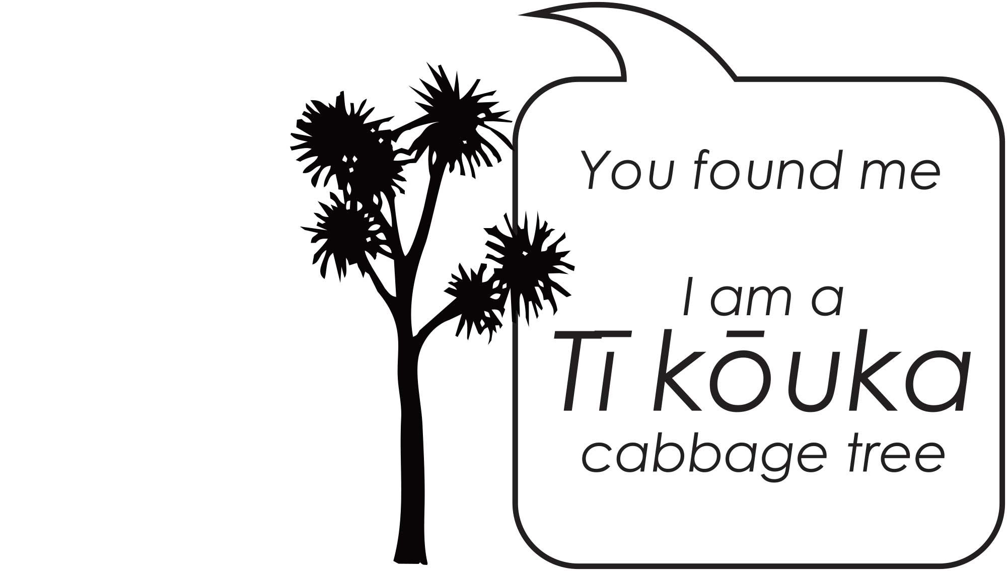 WHooTimaru CabbageTree TeKouka