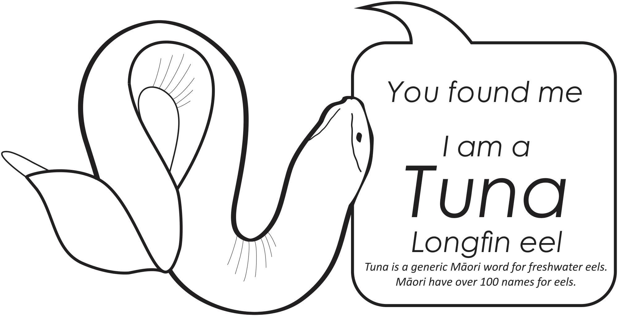 WHooTimaru Tuna Eel lifecycle