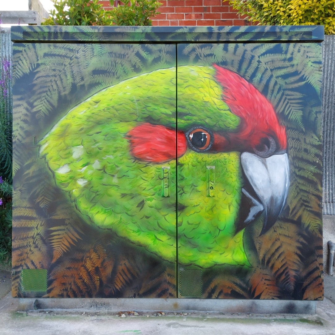 Power Boxes Timaru Art PArrot