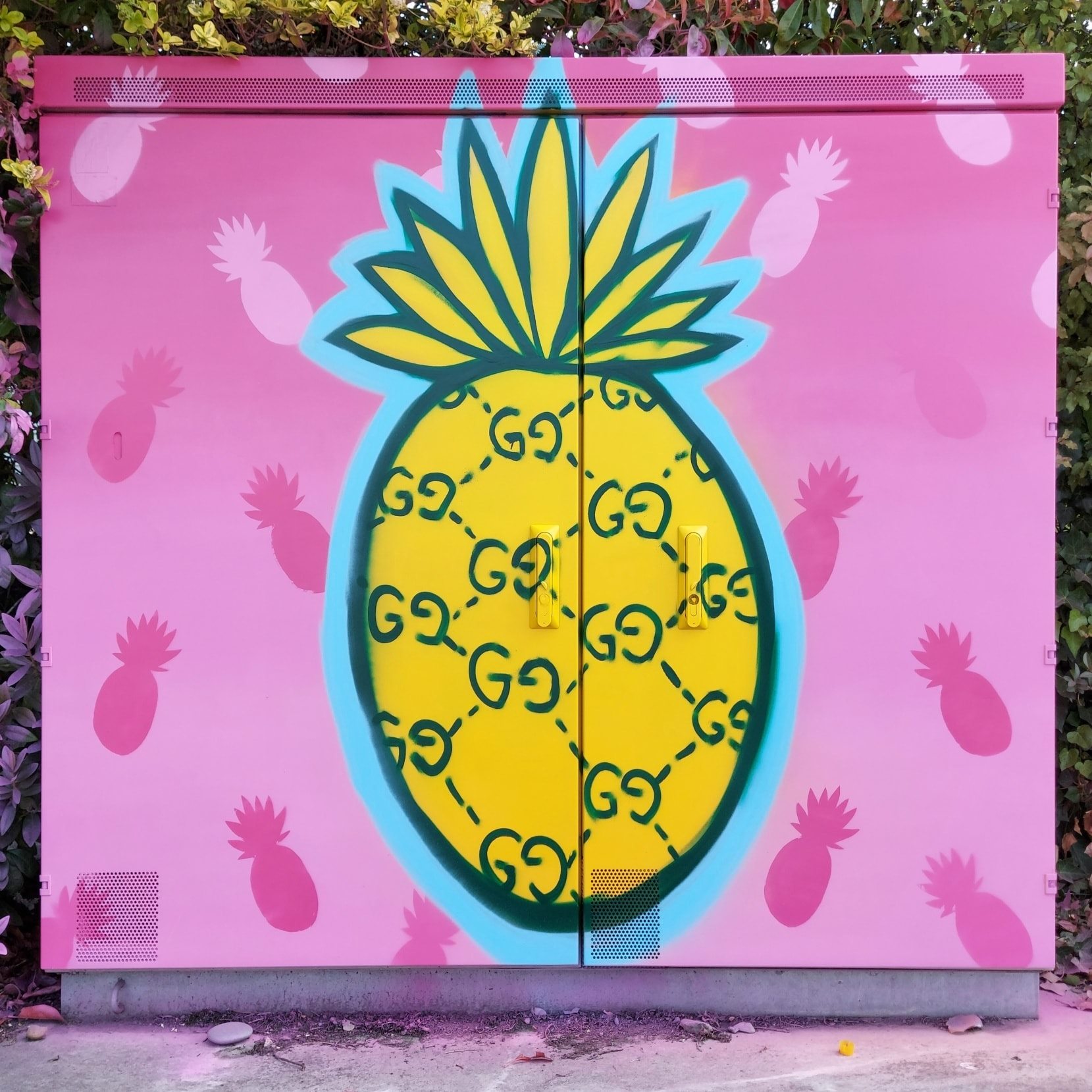 Power Boxes Timaru Art Pineapple