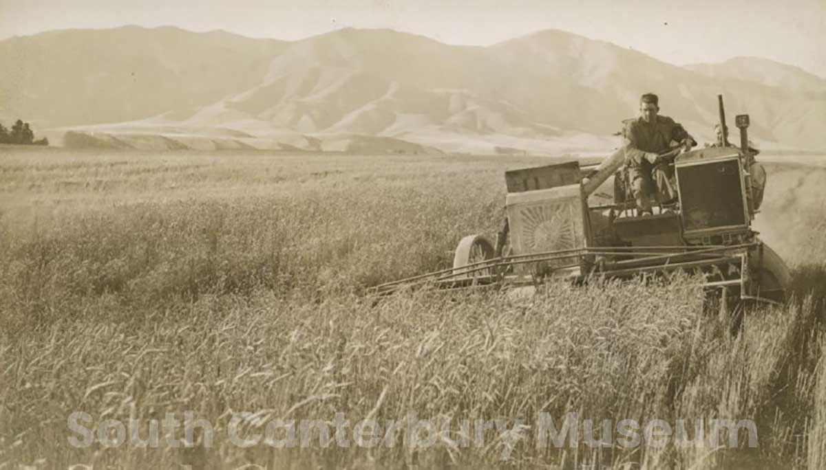 The McCaw Bros Sunshine self propelled auo header harvesting wheat circa 1930 South Canterbury Musuem l2014003204