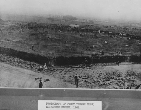 The first Timaru agricultural show