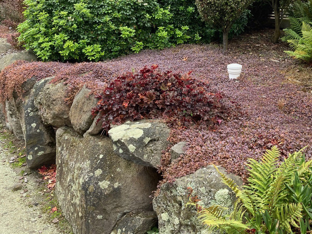 Timaru Bluestone Kirstin Wilson 02