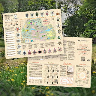 Timaru WuHoo BotanicalGardens