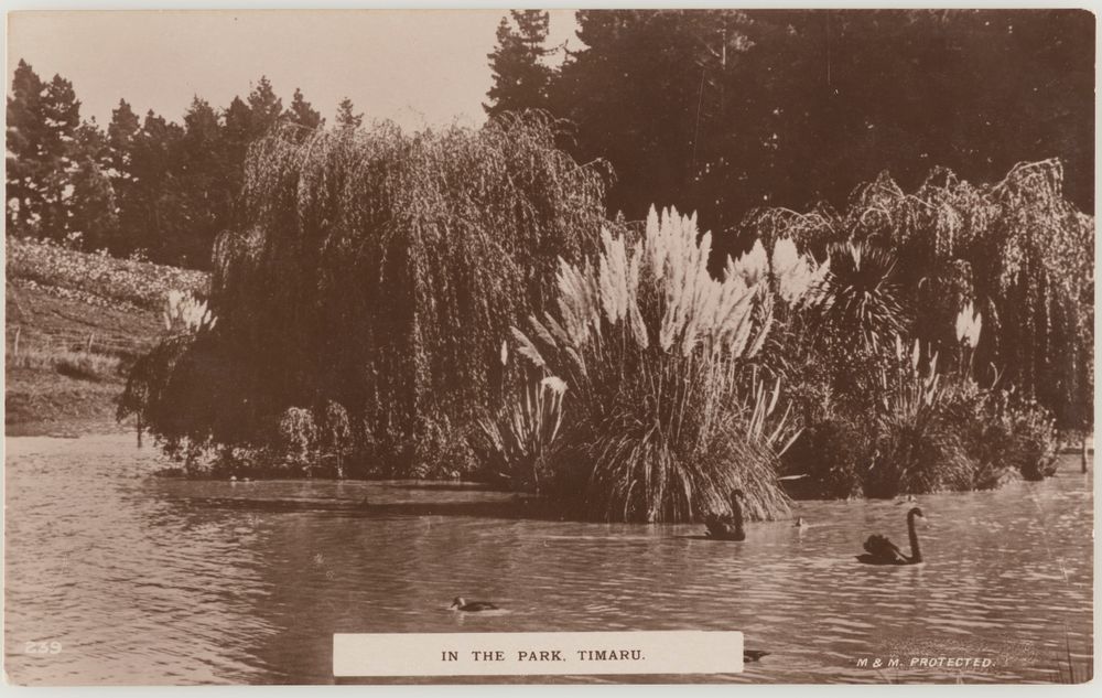 MA I419101 TePapa In the Park Timaru lowres