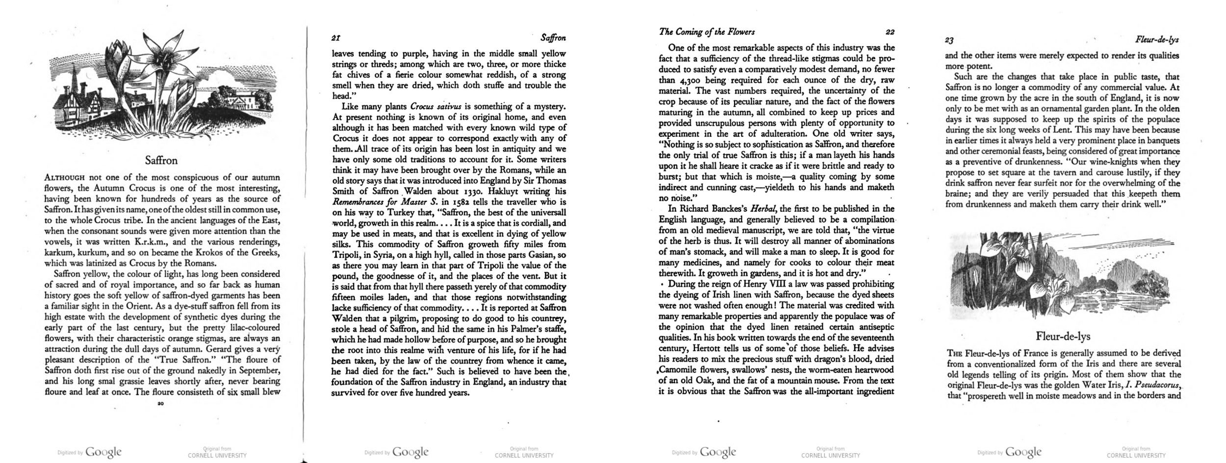 The Coming of the Flowers in 1950 Alexander Walter Clarke Anderson Saffron