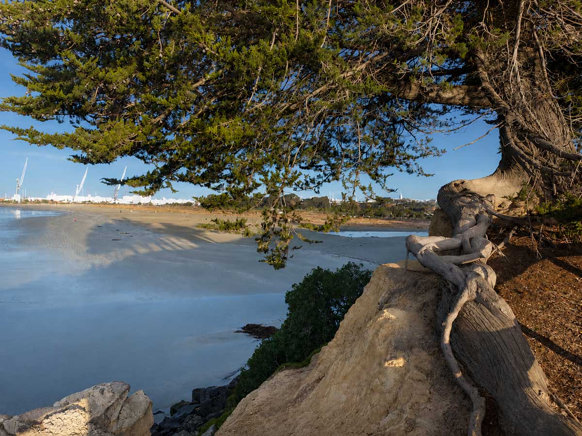 Benvenue Cliffs overlooking Caroline Bay Photo Roselyn Fauth 260724