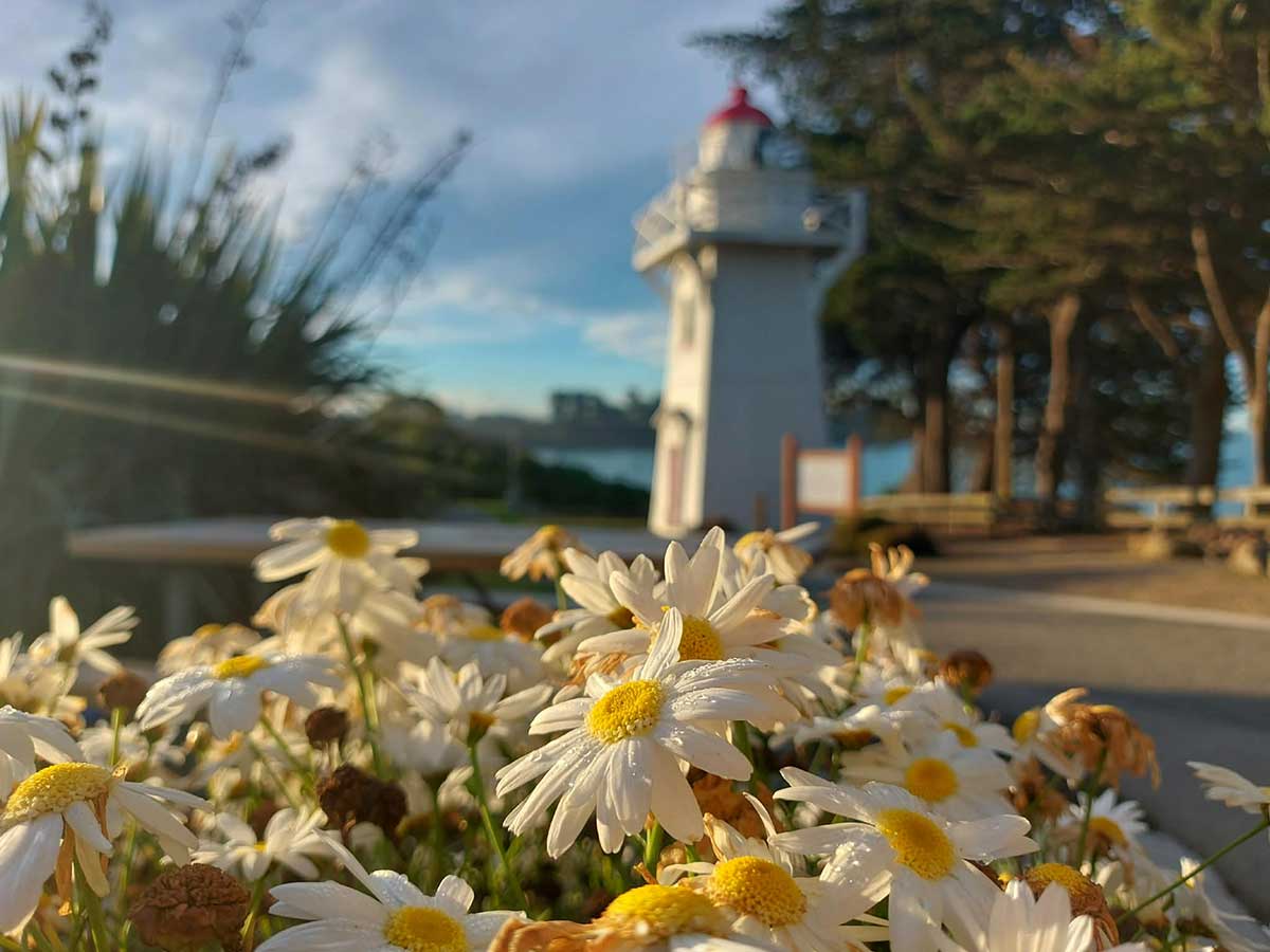 Blackett Lighthouse Benvenue Cliffs Caroline Bay Photo Roselyn Fauth 260724