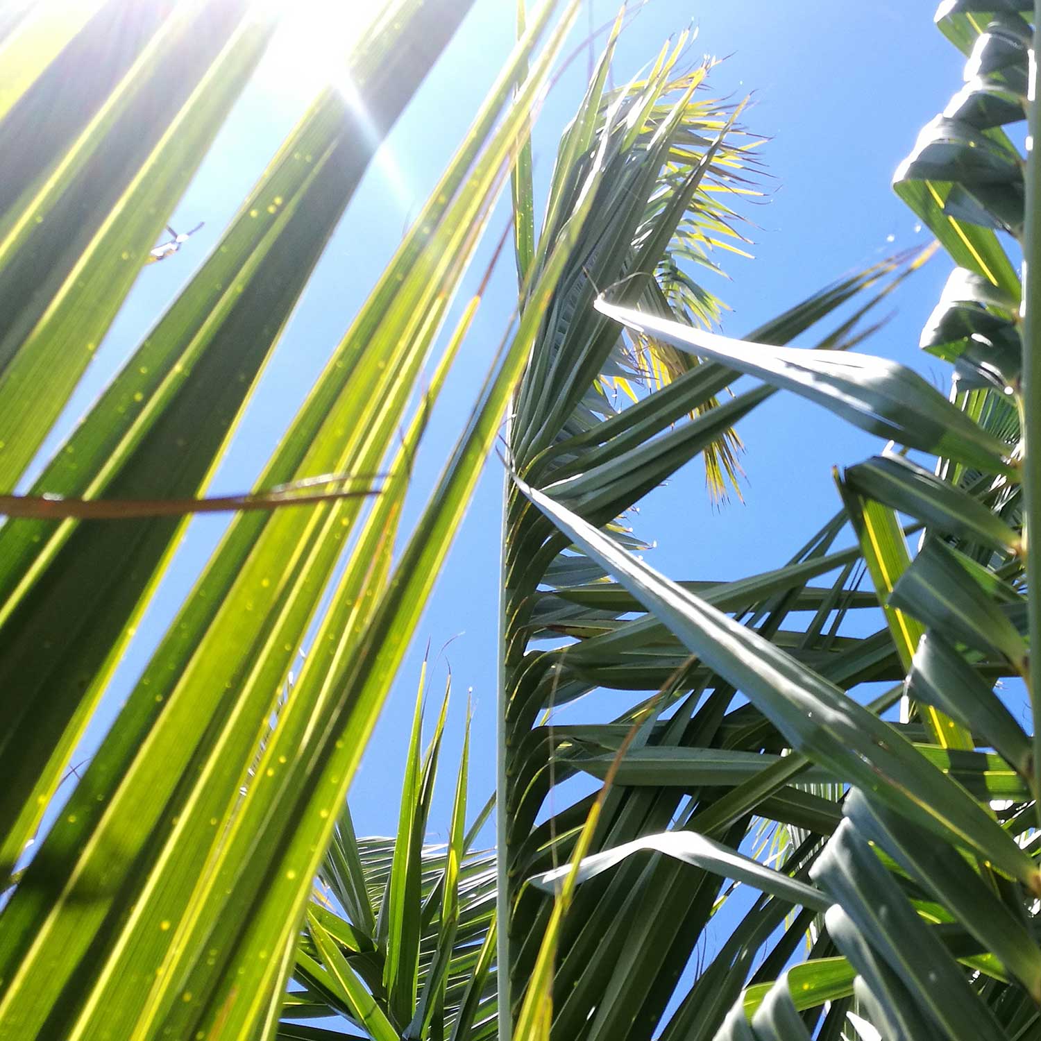 CarolineBay IMG 20171105 144320 631