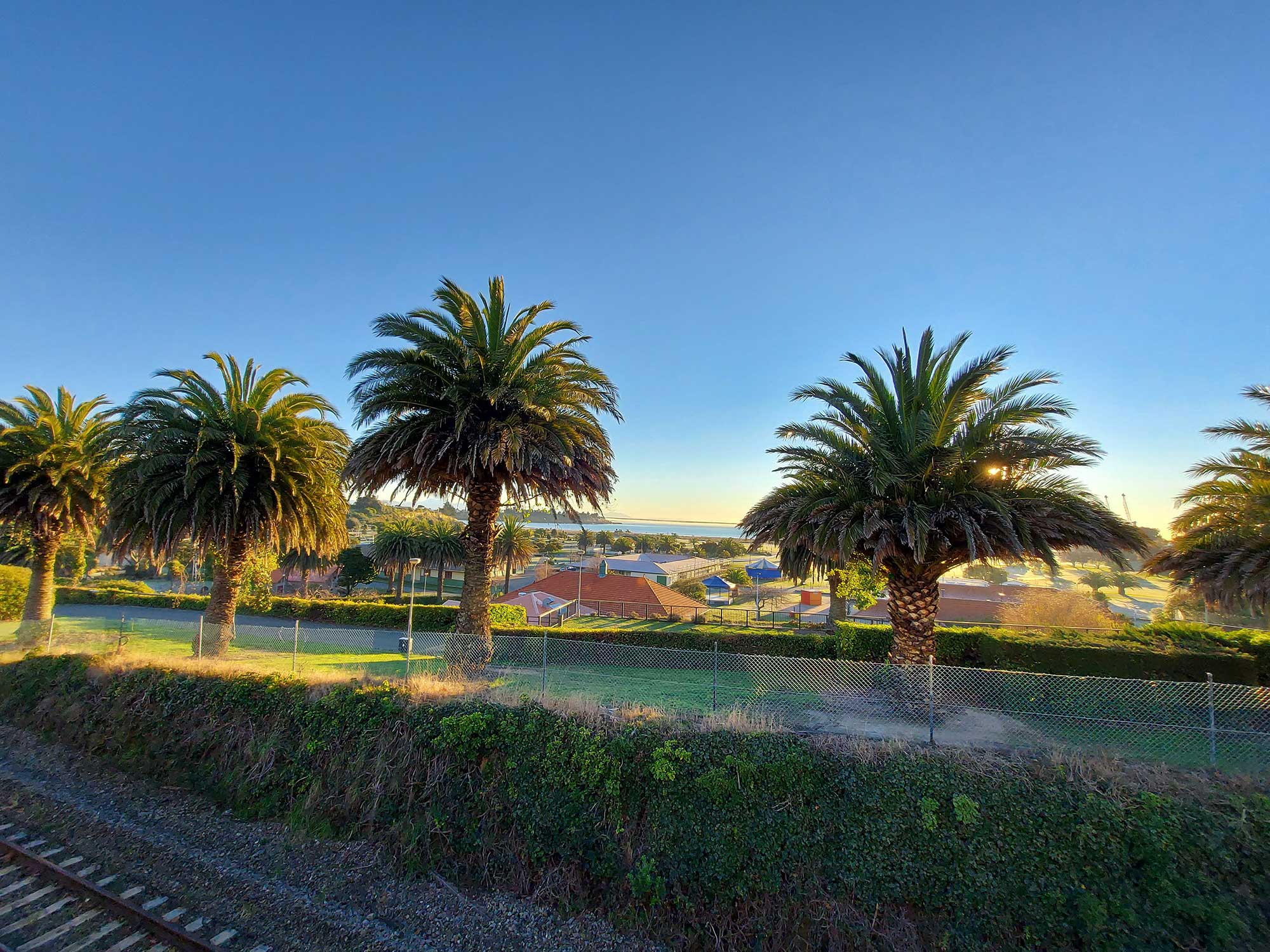 CarolineBay Phoenix Palms 20210709 085254