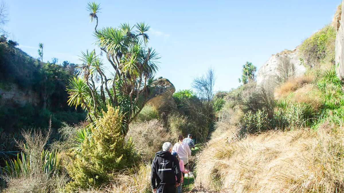 Opihi Rock Art Site walking in towards the rock art 2025 Geoff Cloake