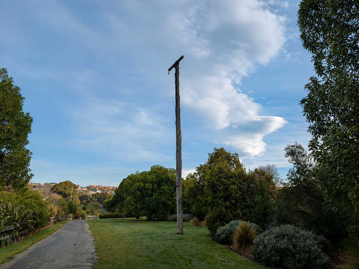 Pole on Benvenue Cliffs Caroline Bay Photo Roselyn Fauth 260724