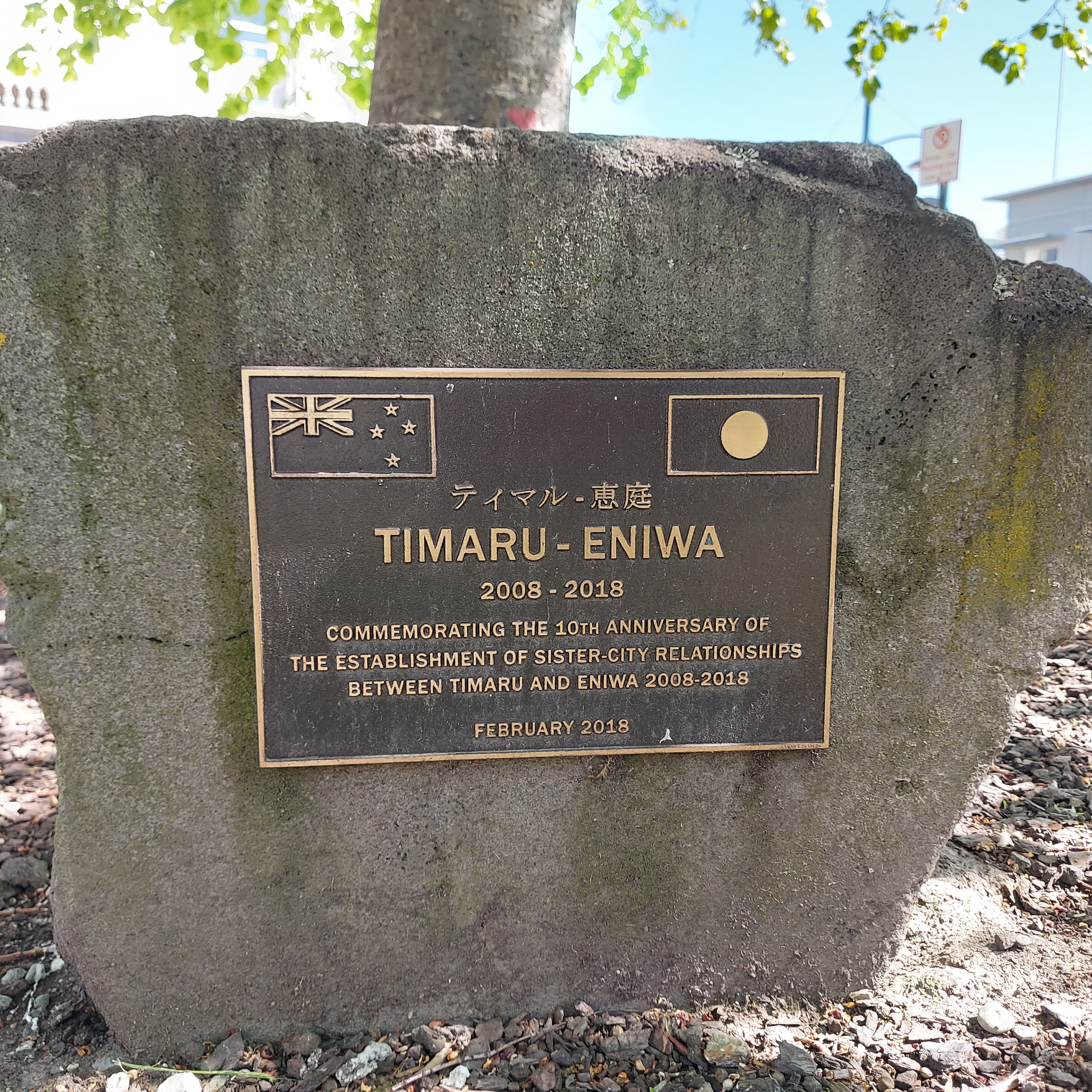 Timaru Eniwa CBD Tree 20221104 105310 01