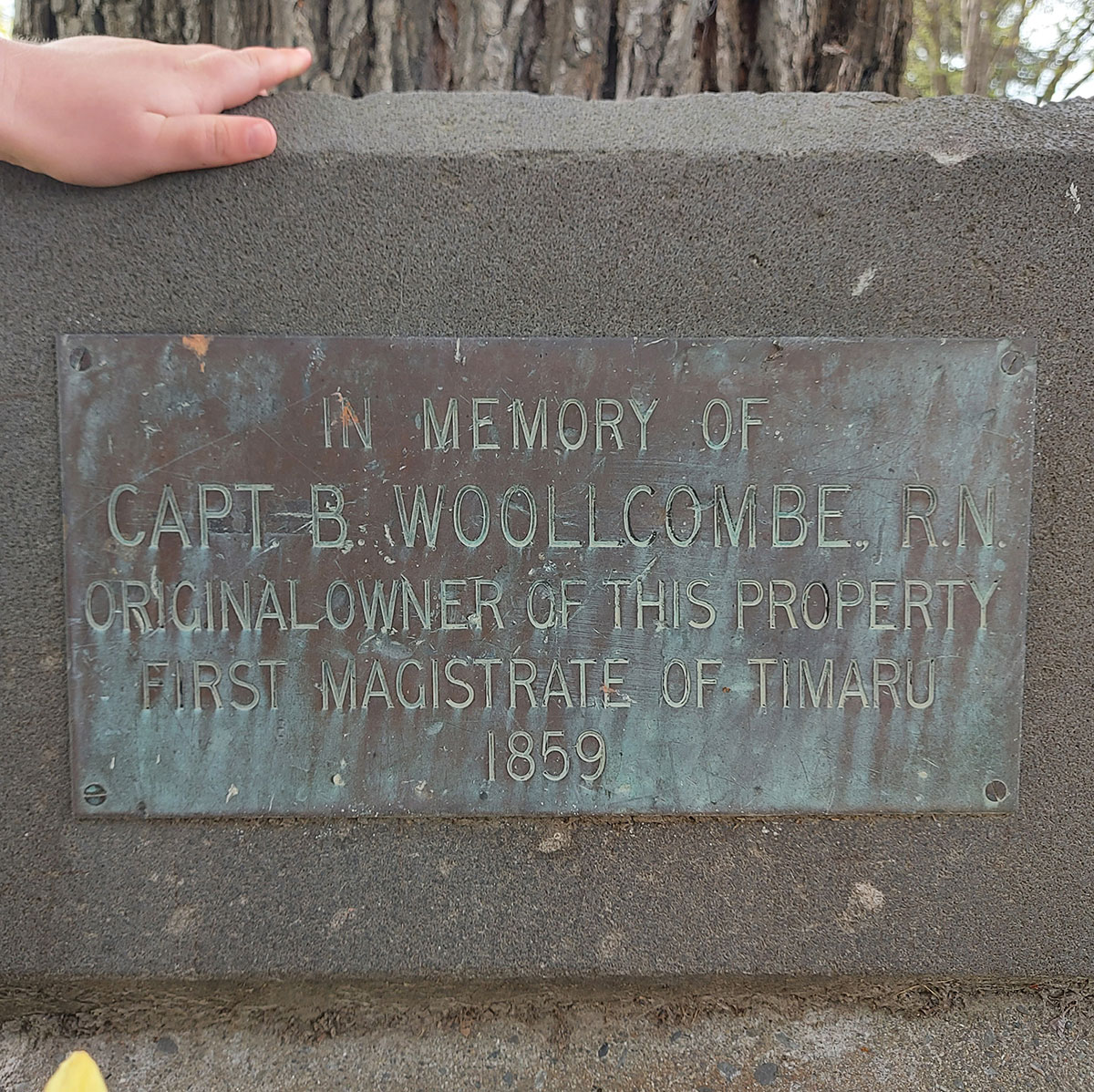 Woolcombes Elm Tree Ashbury Park 20221002 110258 01