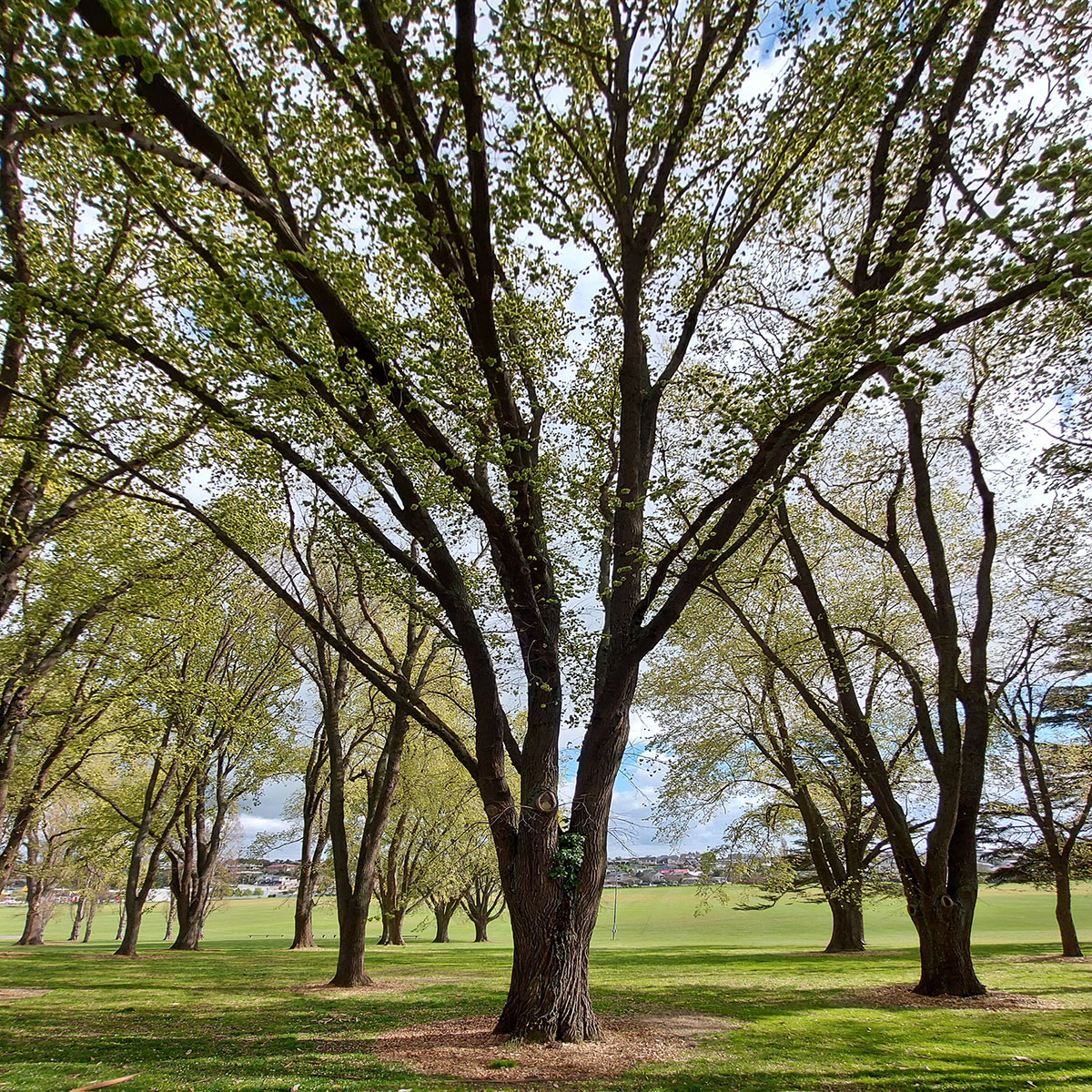 WuHoo Ashbury Park Timaru Waimataitai Lagoon Woolcombe gully 20221002 104954 01