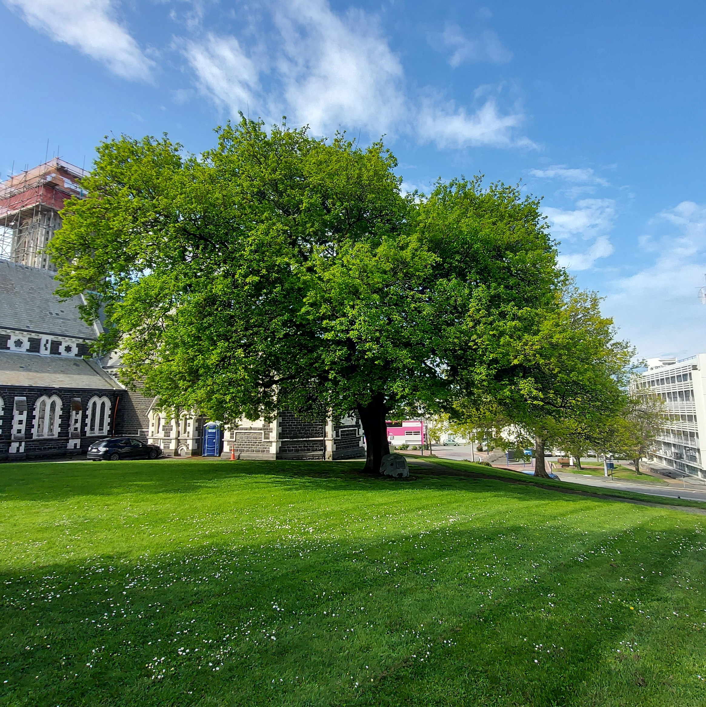 WuHoo BurnettOak 20221028 162302 01