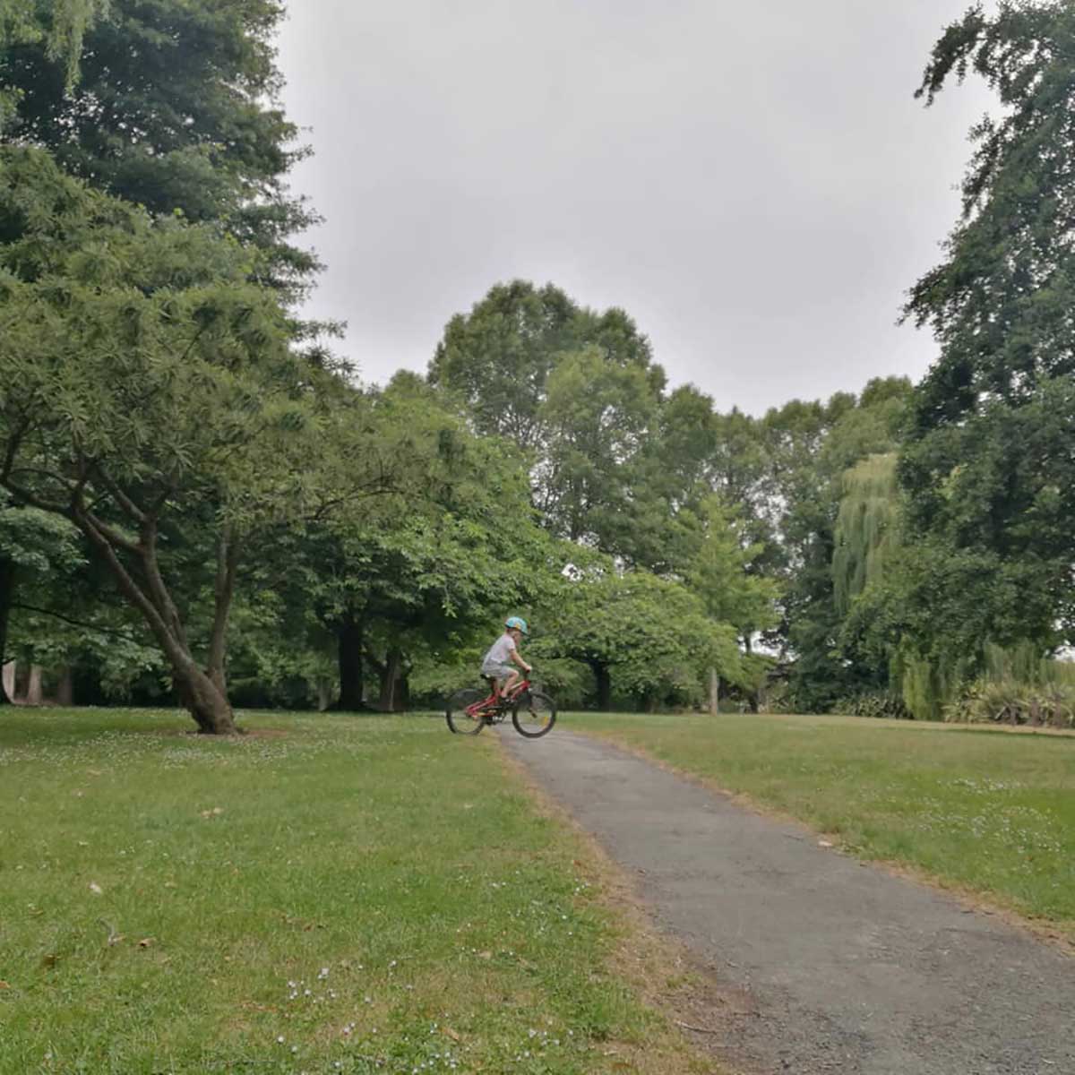 WuHoo Taumatakahu in Temuka Stream Trees 