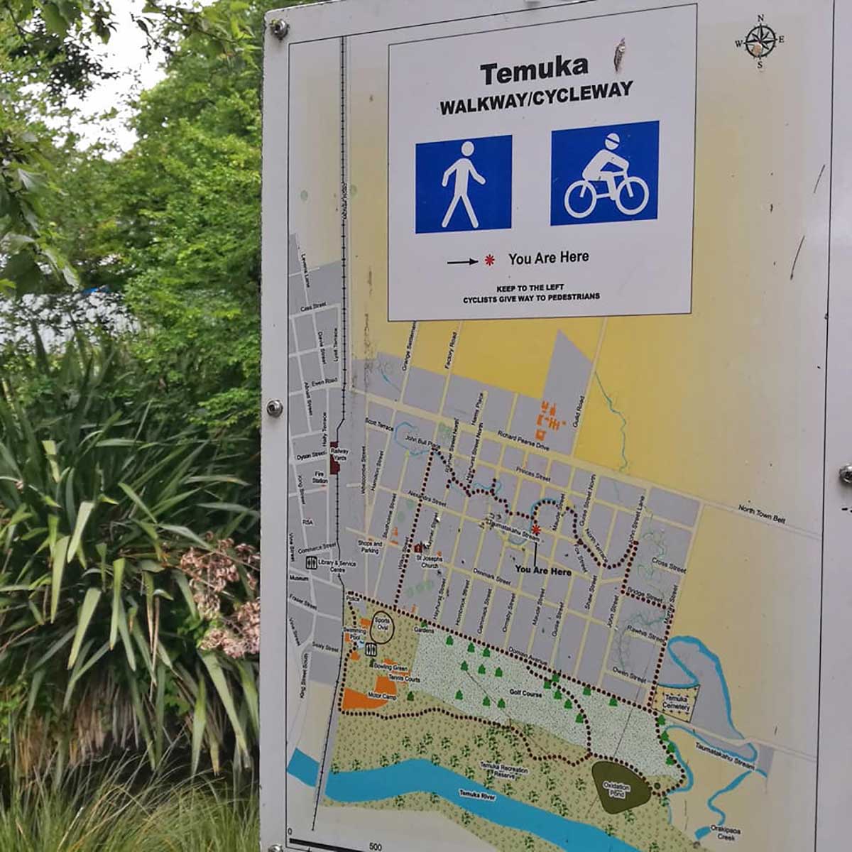 WuHoo Taumatakahu in Temuka Stream Trees 