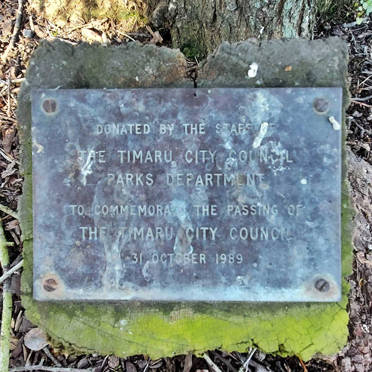 WuHoo Timaru Botanic Gardens Silver Pear