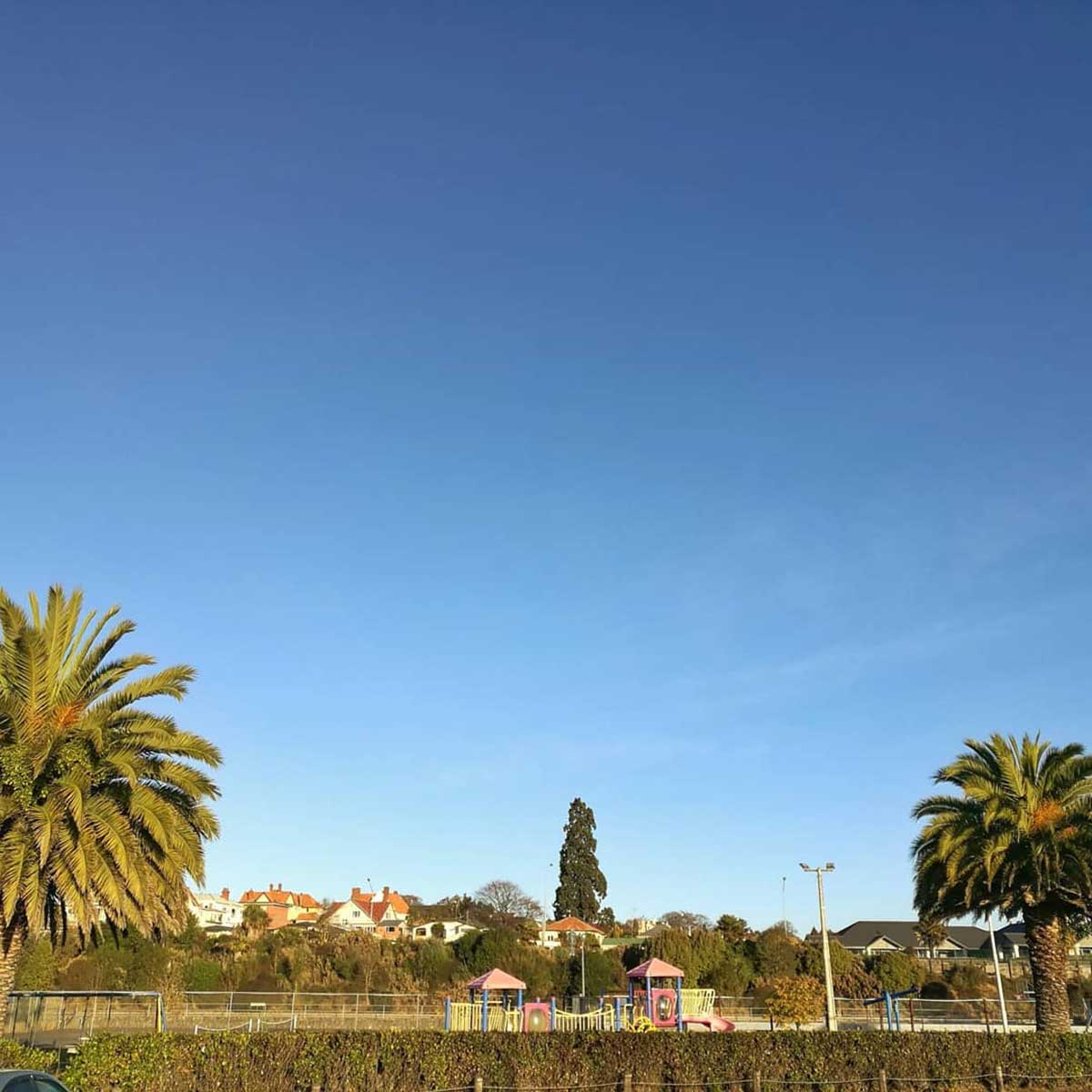WuHoo Timaru Wellingtonia Gigantica - Wai-iti Rd