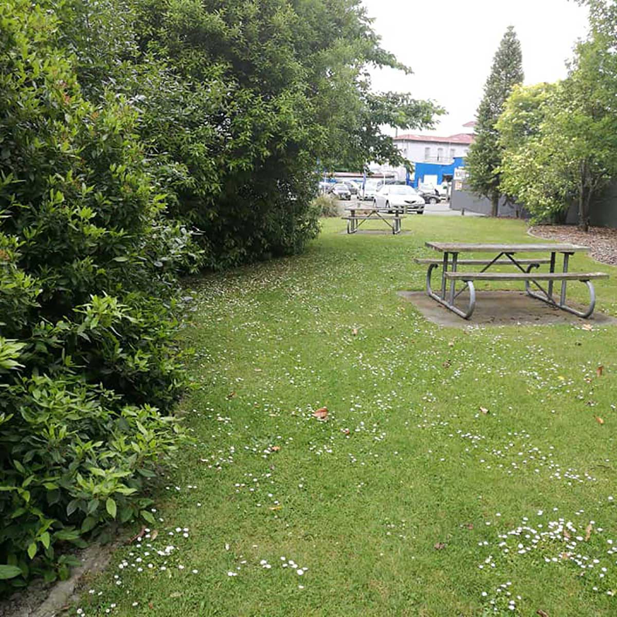 WuHoo Trees Of The World rest area in Temuka