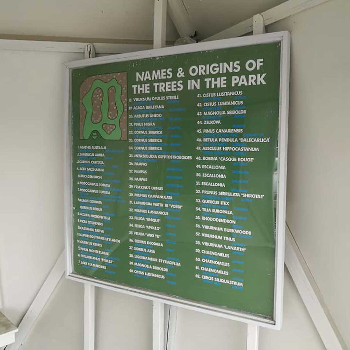 WuHoo Trees Of The World rest area in Temuka