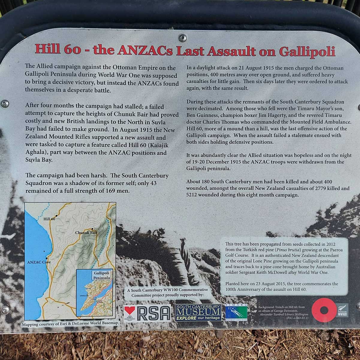 WuHoo Timaru Botanic Gardens Gallipoli Red Pine