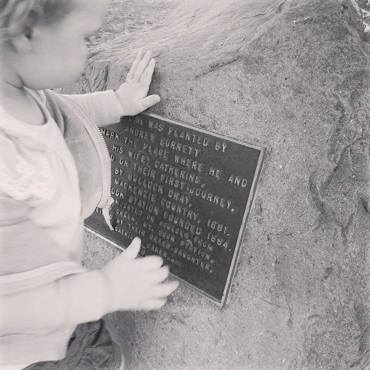 WuHooTimaru BurnettOak 00