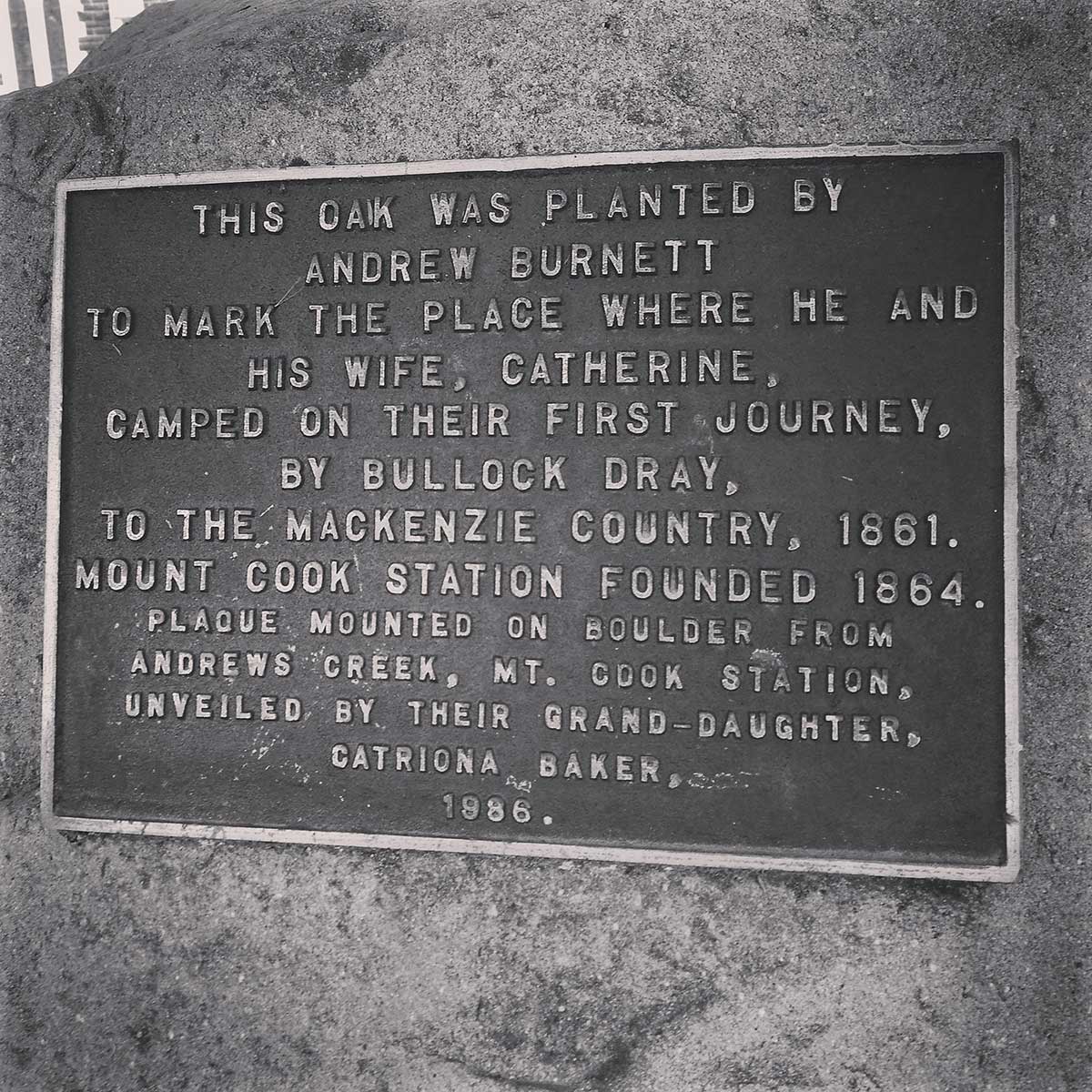 WuHooTimaru BurnettOak 00