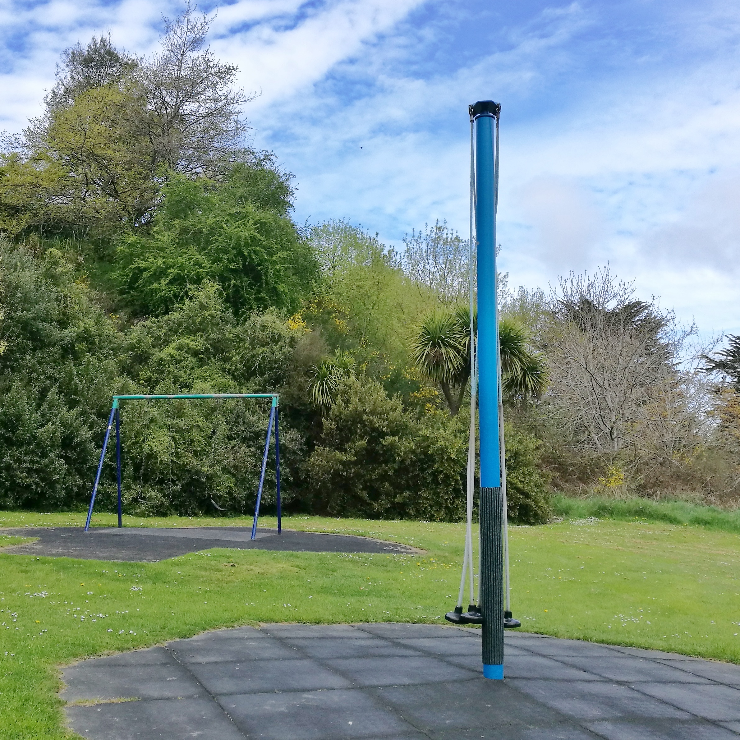 WuHooTimaru Centennial Park King Quarry Tree