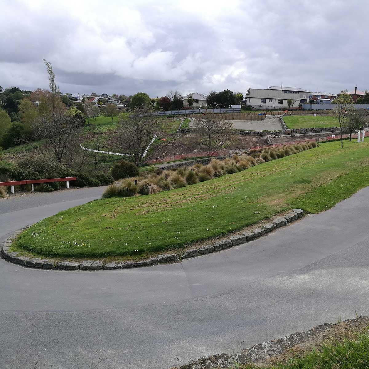 WuHoo Timaru Centennial Park Mortimer Tree
