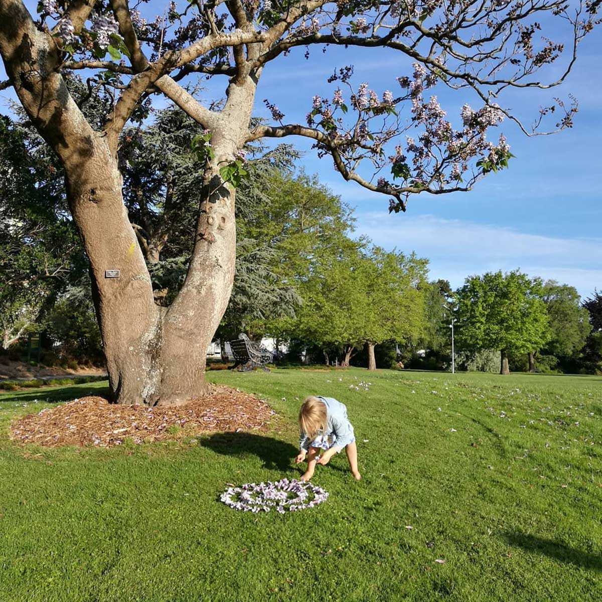 WuHooTimaru EmpressTree BotanicGardens 03