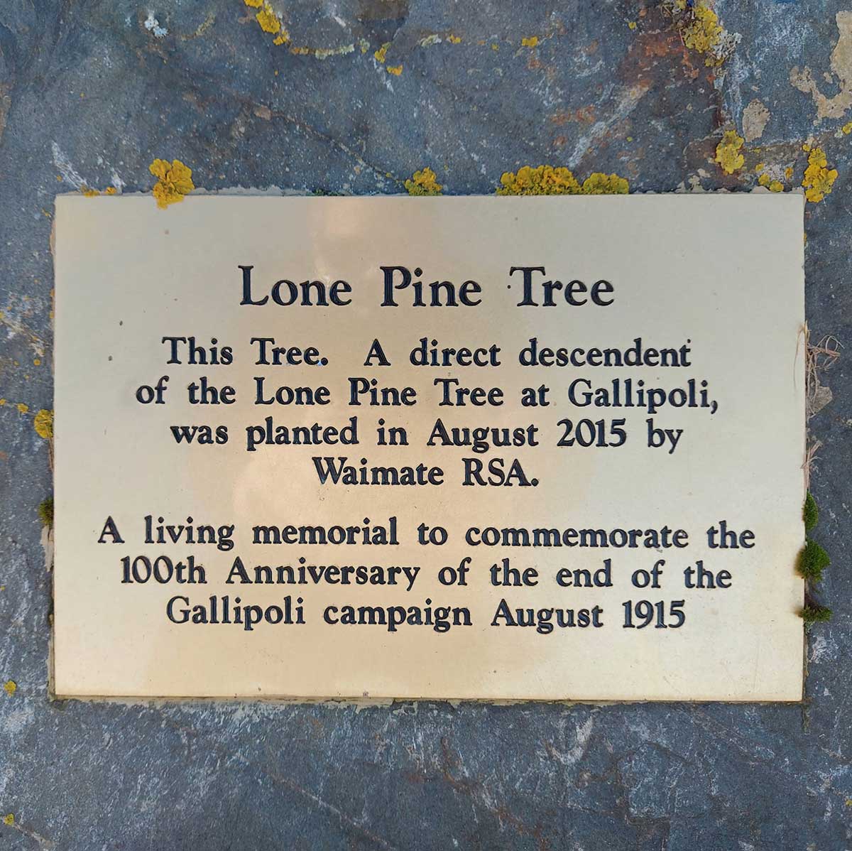 WuHooTimaru LonePine Waimate plaque