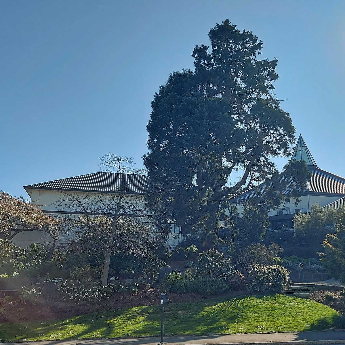 WuHooTimaru Perth St 152054 01