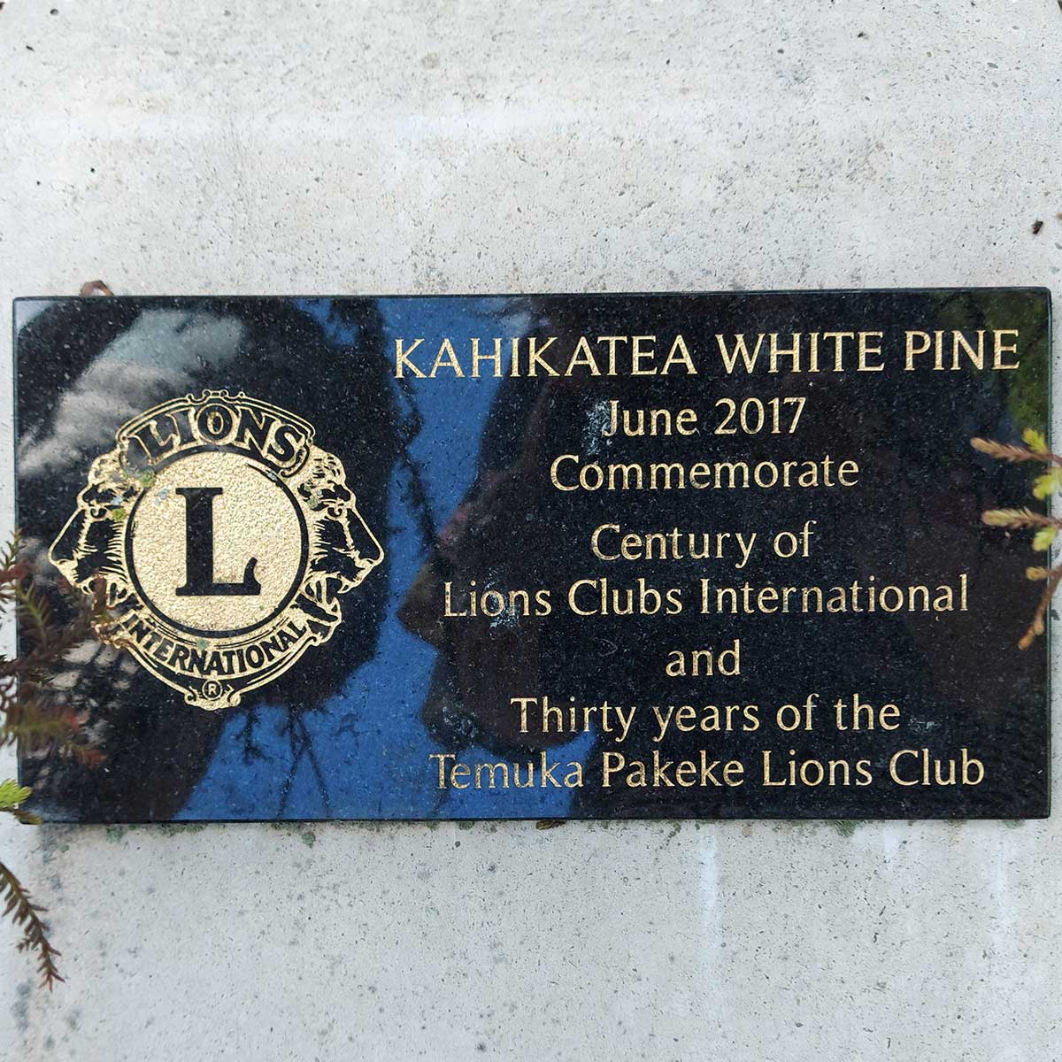 WuHoo Timaru Trees Lions Club