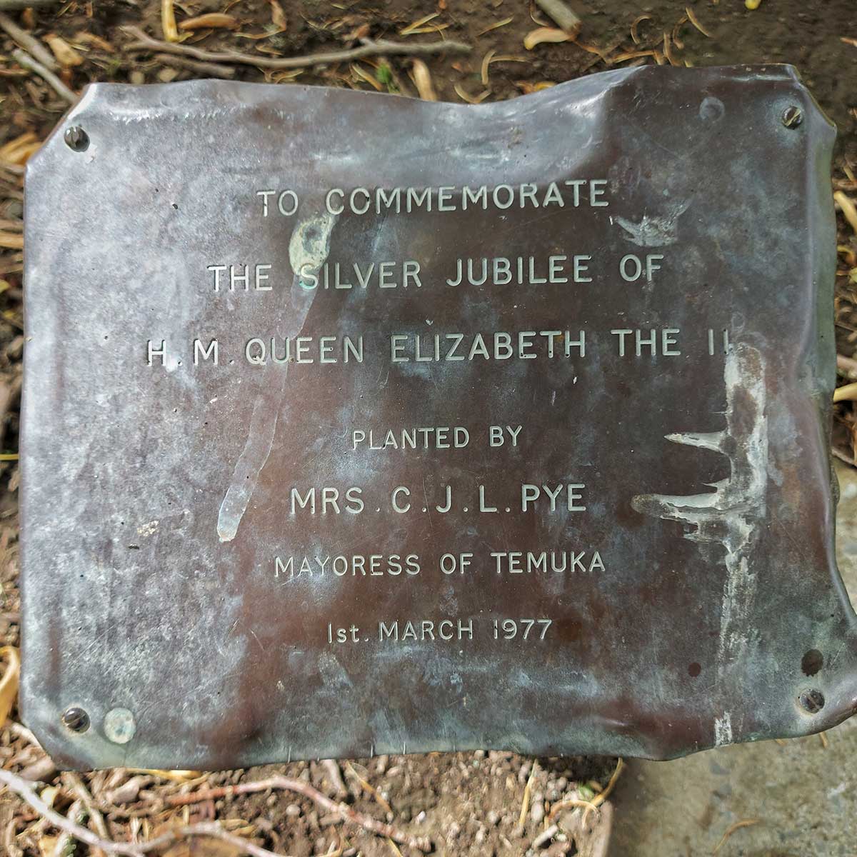 WuHooTimaru Trees Queen Silver Jubilee