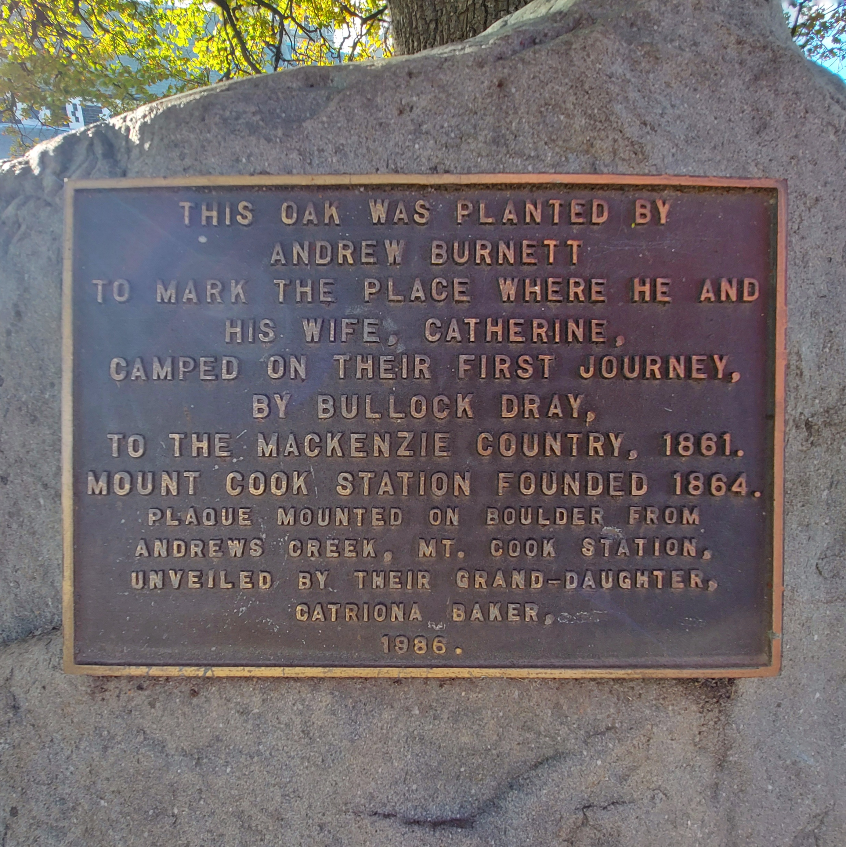 Wuhoo Burnett Oak PerthSt 20230512 144147 01