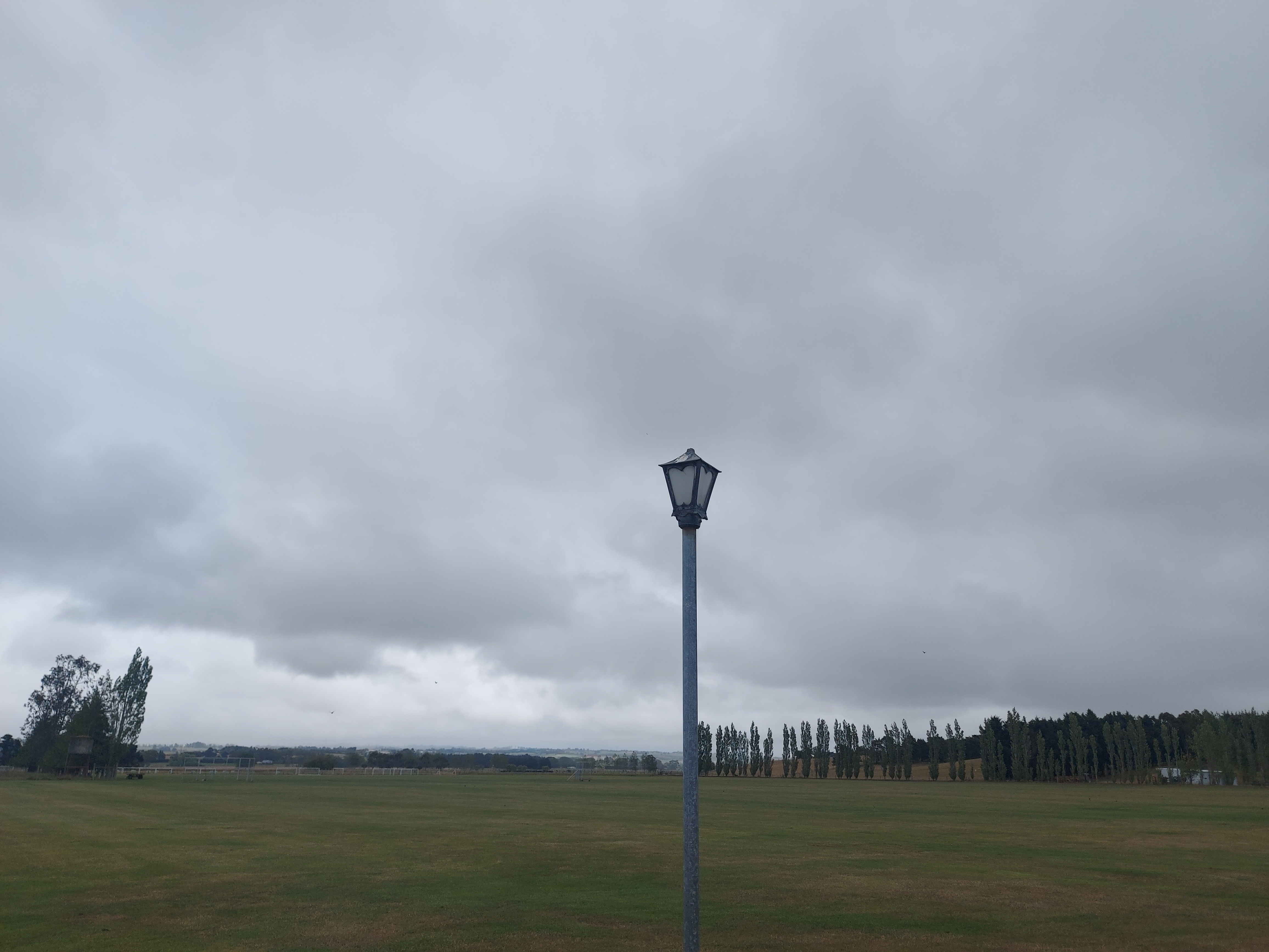 a lonely lamp at sir Basil Arthur Park Timaru 20251230 by roselyn fauth