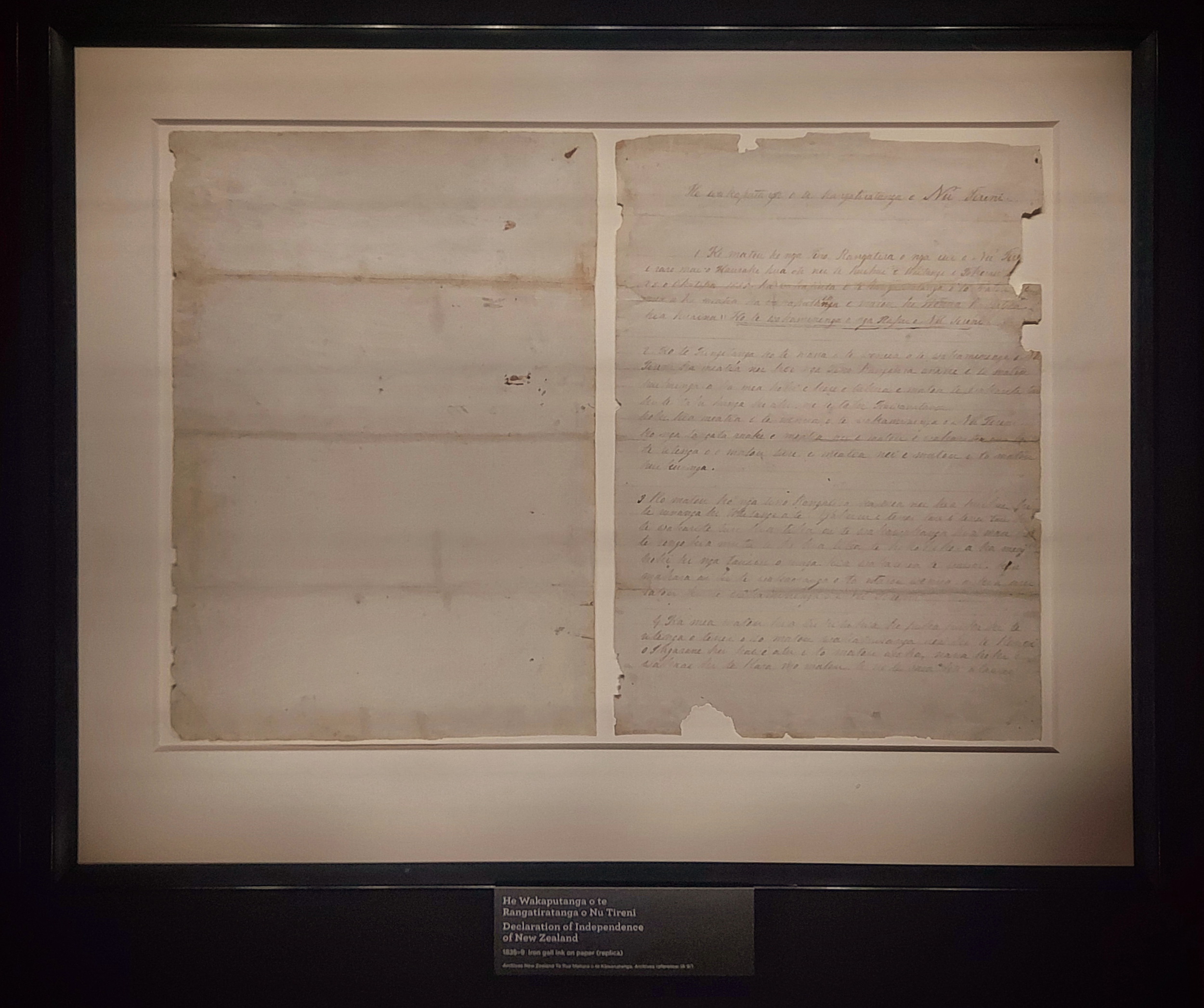 Viewing the Womens Suffrage Petition in Wellington Photo Roselyn Fauth