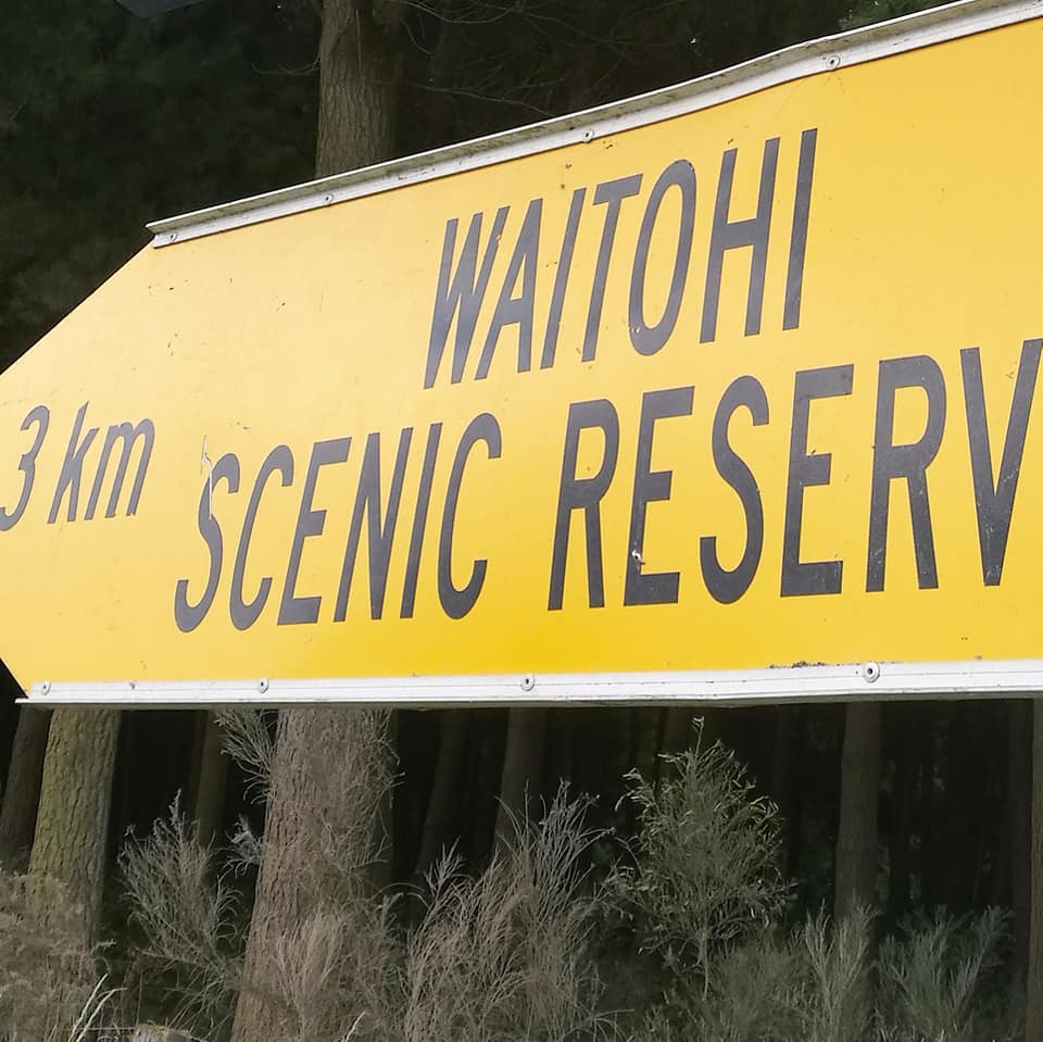 Waitohi Scenic Reserve Roselyn Fauth 2020 1