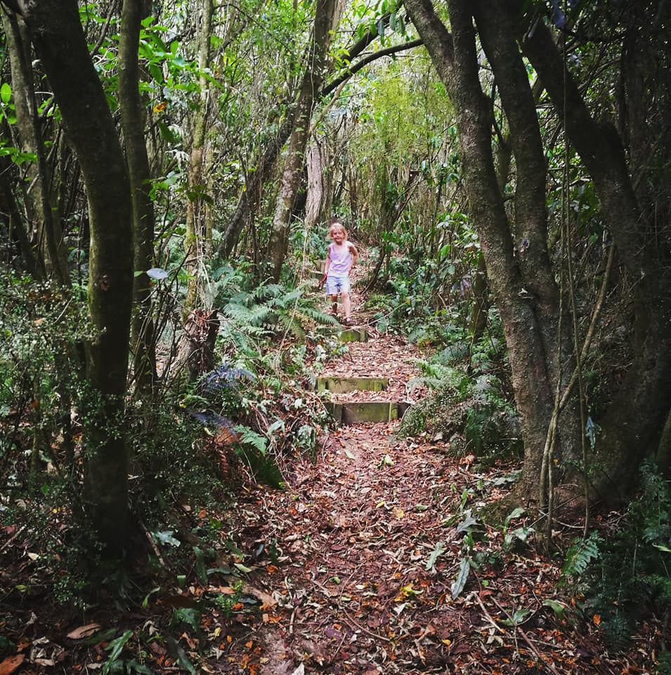 Waitohi Scenic Reserve Roselyn Fauth 2020