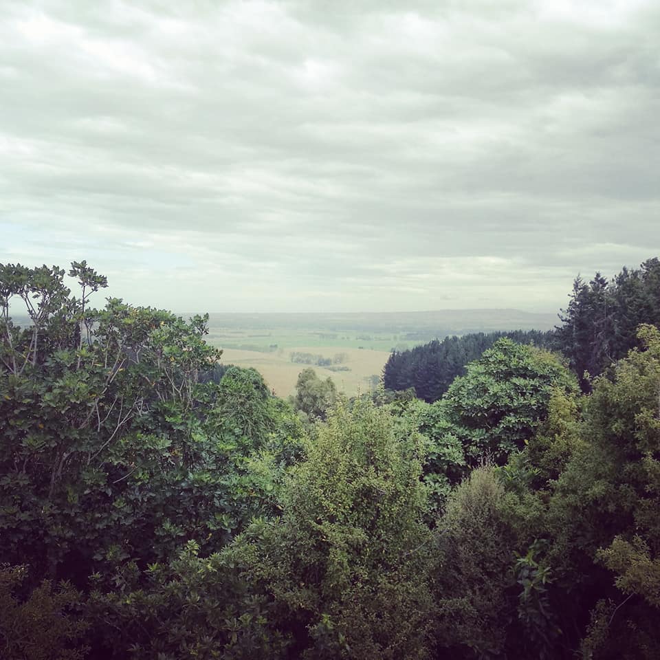 Waitohi Scenic Reserve Roselyn Fauth 2020