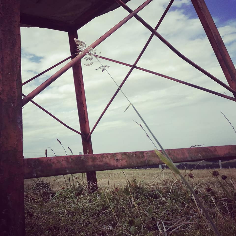 Waitohi Scenic Reserve Roselyn Fauth 2020