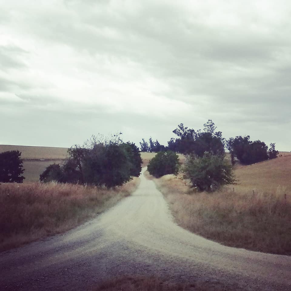 Waitohi Scenic Reserve Roselyn Fauth 2020